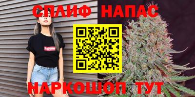 стафф Волгодонск